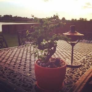 Meet your Posher, Ashish